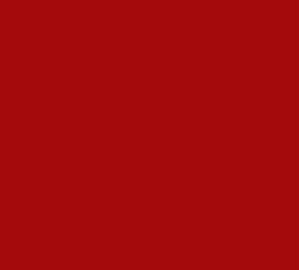 Rouge Rubis - Sulpie